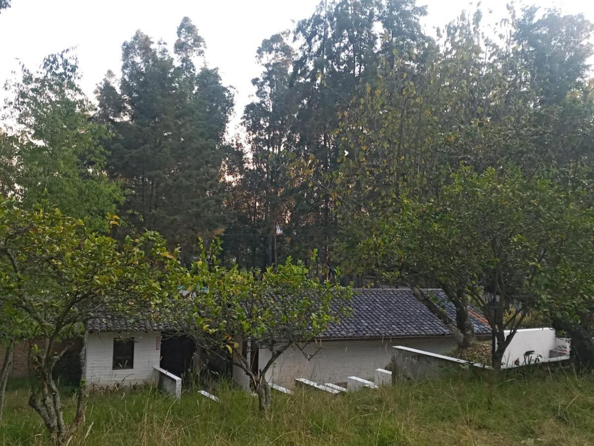 Quinta Los Eucaliptos 호텔 키토 외부 사진